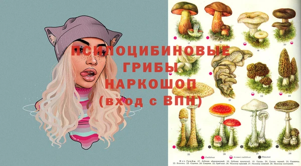 MESCALINE Аркадак