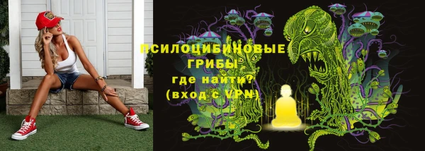 MESCALINE Аркадак