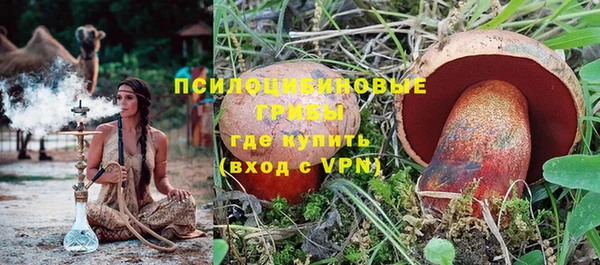 MESCALINE Аркадак