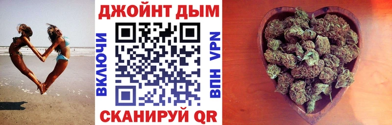 где найти   Ступино  Марихуана сатива 